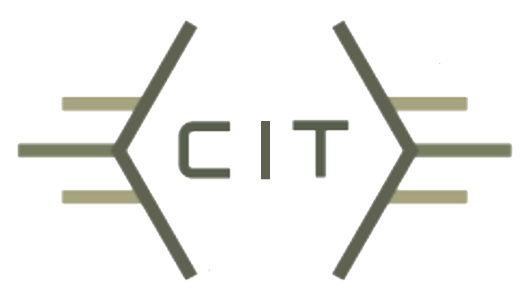 Chronix Infotech logo